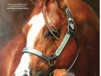 2013 The Equine Chronicle September_October