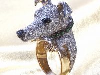 Dog Ring
