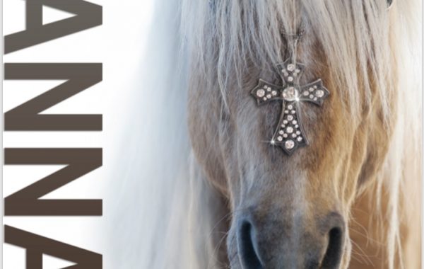 Hannah Fine Jewelry – Cross My Horse